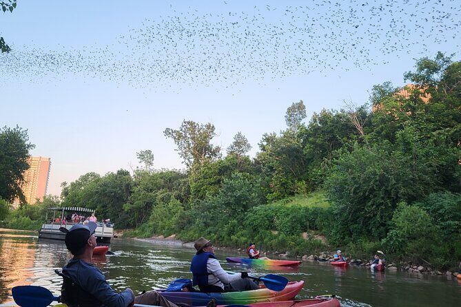 Downtown Houston Bat and Skyline Kayaking Tour - Authentic Experiences and What Travelers Say