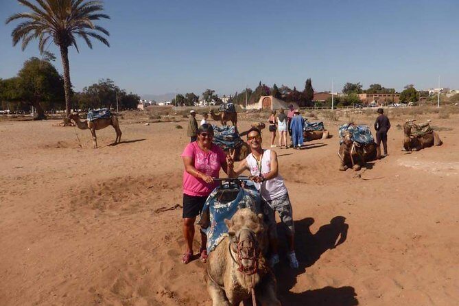 Dromedary Safari: 2 hours - Frequently Asked Questions