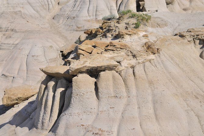 Drumheller Dinosaur Valley & Horseshoe Canyon Adventure Day Tour - Who Will Love This Tour?