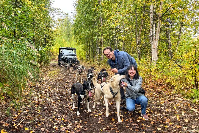 Dryland Dog Sled Tour - Authentic Traveler Feedback
