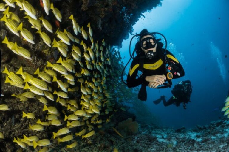 DSD Discover Scuba Diving for a beginner or Certified - Key Points