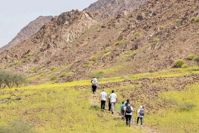 Dubai: 4-Hour Adventure Trip in Hatta - Who Should Consider This Adventure?