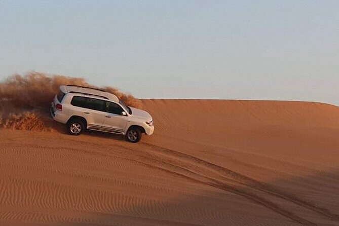 Dubai Afternoon Desert Safari and BBQ Dinner - The Value in Context