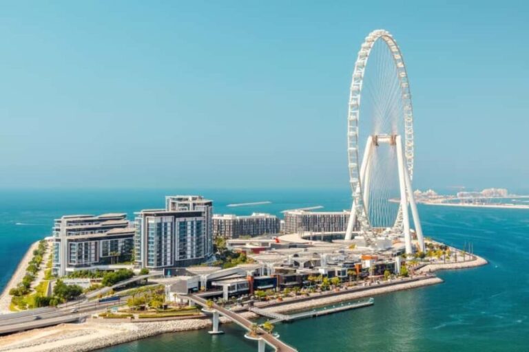 Dubai: Ain Dubai Wheel, Blue Mosque & Half-Day Guided Tour - Pricing and Value