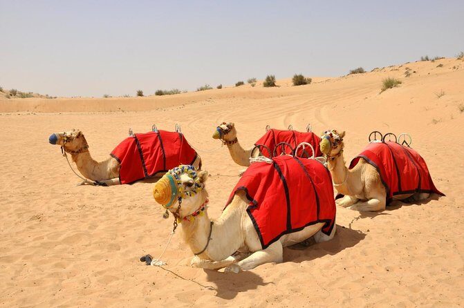 Dubai: Al Marmoom Oasis with Private Bedouin Tent & Dinner - Key Points
