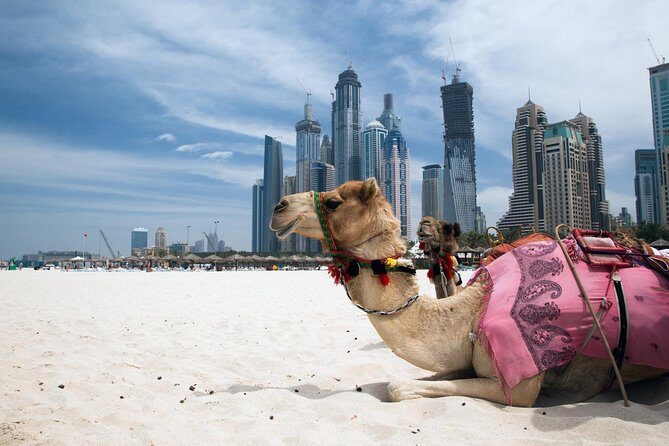 Dubai All-Day Tour Including Lunch - Final Thoughts
