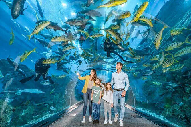 Dubai Aquarium and Underwater Zoo - Why You Might Want to Book This Experience