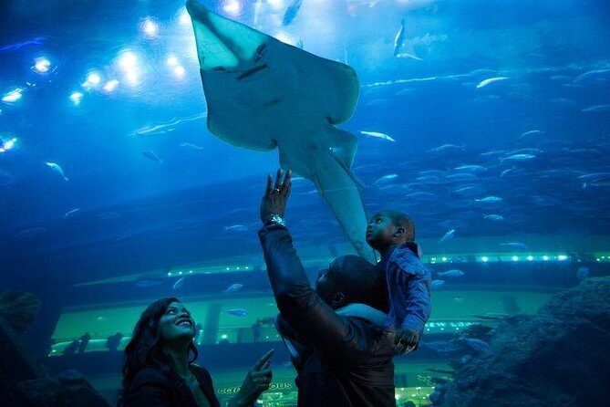 Dubai Aquarium and Underwater Zoo Admission Ticket with Options - The Itinerary: What to Expect