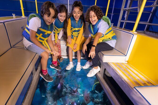 Dubai Aquarium and Underwater Zoo Entrance Ticket - Evaluating the Price and Value