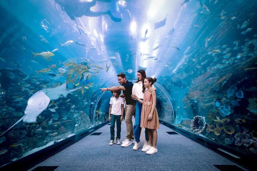 Dubai Aquarium and Underwater Zoo experience