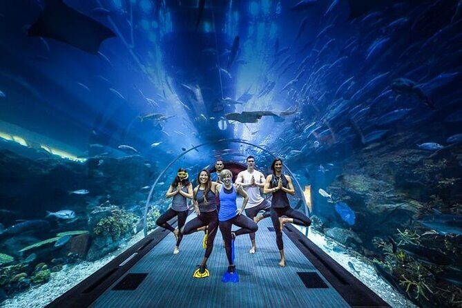 Dubai Aquarium and Underwater Zoo with Penguin Cove Tickets. - Practical Tips for Visiting