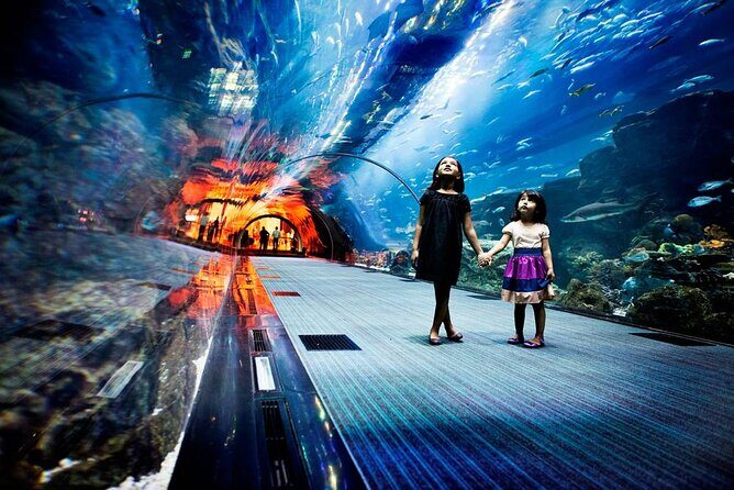 Dubai Aquarium and Underwater Zoo - Who Will Love This Experience?
