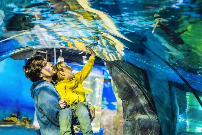 Dubai Aquarium & Underwater Zoo Entrance Ticket - Practical Details: What You Need to Know