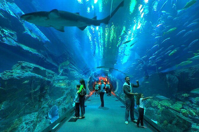 Dubai Aquarium & Underwater Zoo with Penguin Cove - Final Thoughts: Is It Worth It?