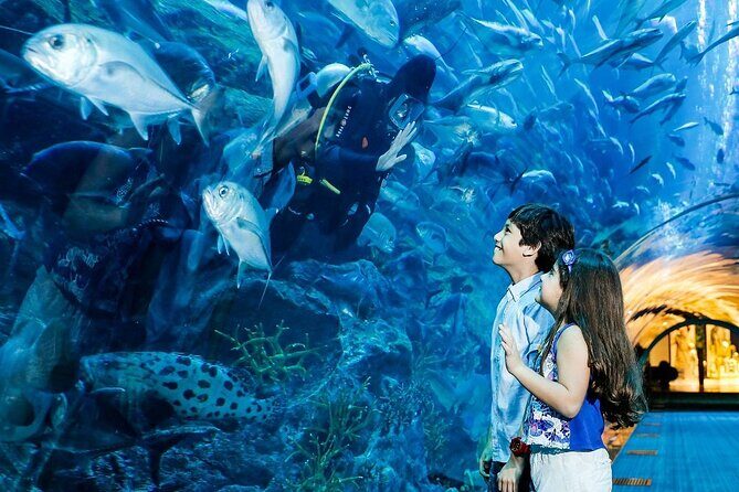 Dubai Aquarium & Underwater Zoo - Who Should Consider Visiting?