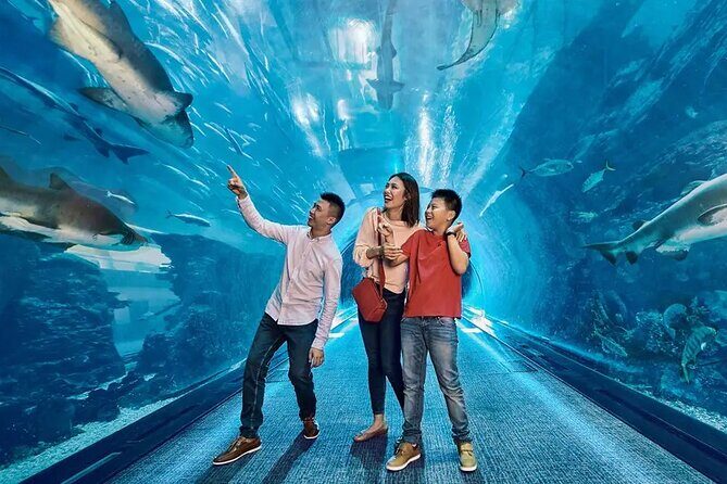 Dubai Aquarium UnderwaterZoo and Penguin cove Admission Ticket - Detailed Breakdown of the Itinerary