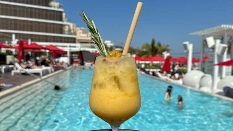 Dubai: Beach Day on the Palm with Skyline Views - Who Will Love This Experience?