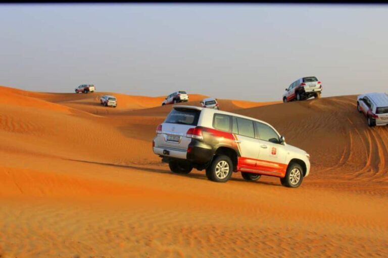 Dubai: Bedouin Camp, Dune Safari, Falcon Show & BBQ Dinner - Practical Considerations for Travelers