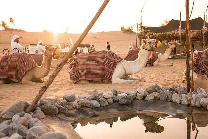 Dubai: Bedouin Culture Safari - The Value of This Experience