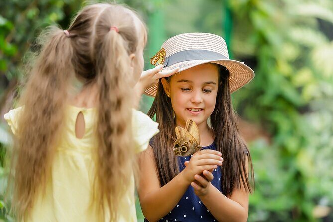 Dubai Butterfly Garden Admission Ticket - Practical Details and Tips for Visiting