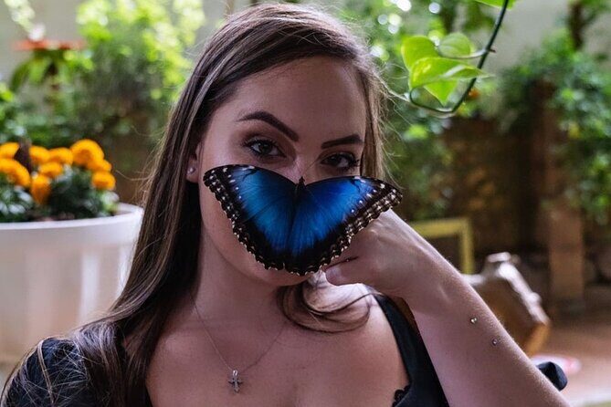 Dubai Butterfly Garden Entry Ticket - The Sum Up