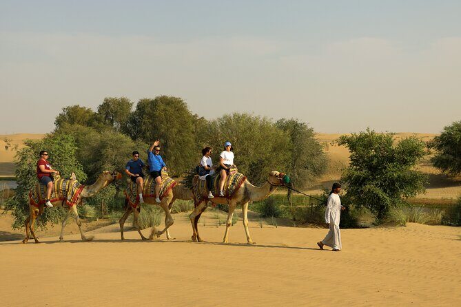 Dubai: Camel Caravan, Bedouin Breakfast with Al Marmoom Oasis - FAQs