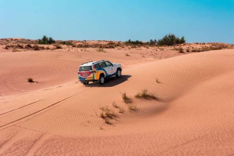 Dubai: Camel Safari, Wildlife & Lakeside Breakfast - The Value of the Experience