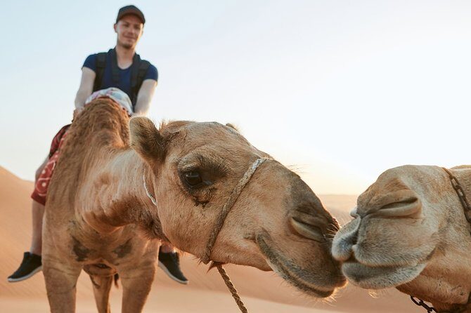 Dubai Desert Bespoke: Red Dunes Safari, Camel Ride & BBQ Options - The Real Value for Travelers