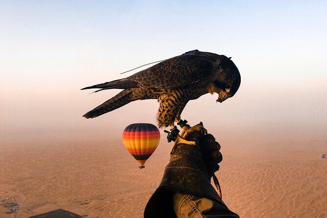 Dubai Desert By Hot Air Balloon With Falcon Show and Camel - Breakfast: Authentic Flavors in the Desert
