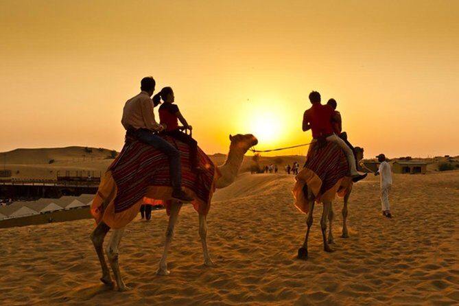 Dubai Desert Excursions with BBQ Dinner & Live Entertainment - The Value in Detail