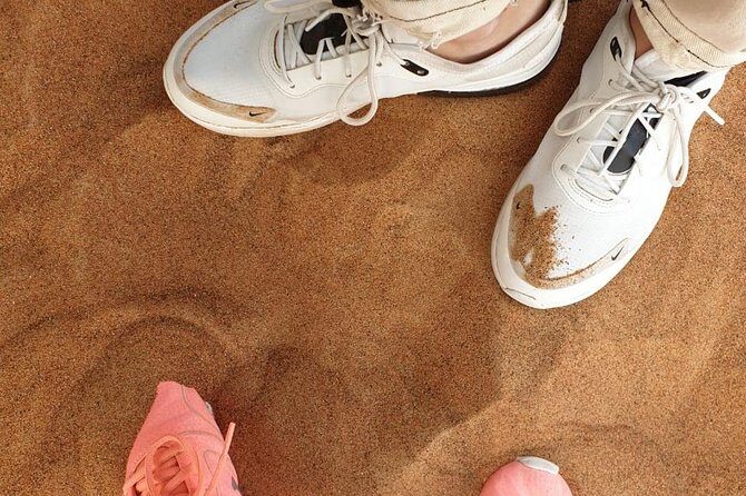 Dubai: Desert Safari 4x4 Dune with Camel Riding and Sandboarding - Who Should Consider This Tour?