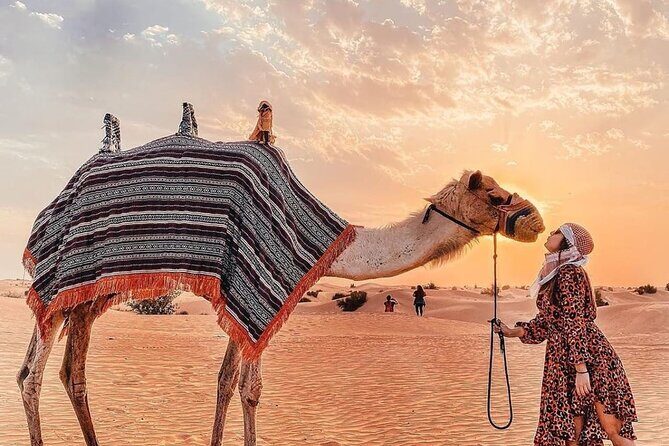 Dubai Desert Safari - The Sum Up