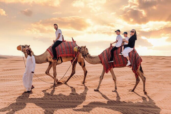 Dubai Desert Safari, BBQ, Live Shows, Camel, Sandboard (7-Hours) - What You Can Expect on the Tour