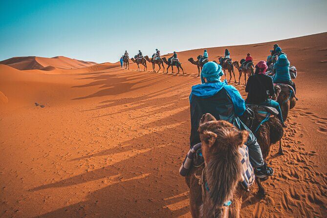 Dubai Desert Safari Camel Ride Sand Boarding BBQ Dinner - What You Can Expect from the Tour