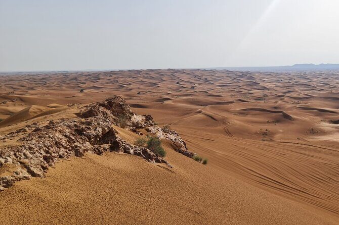 Dubai Desert Safari Sand board Camel Ride & Quad Bike - Who Will Love This Tour?