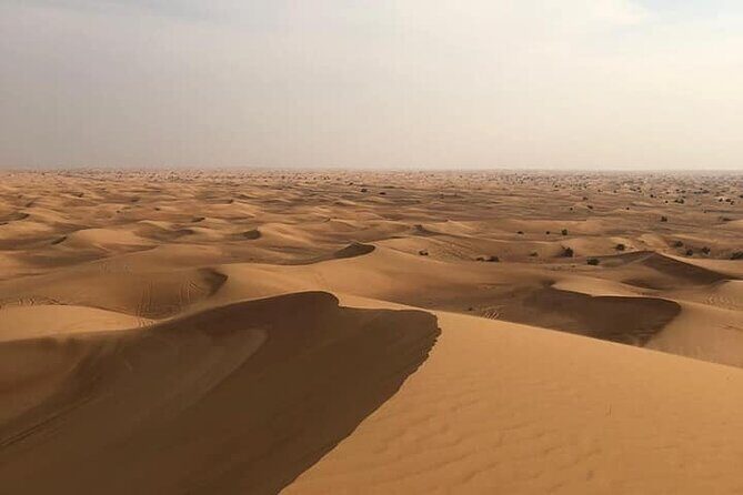Dubai Desert Safari Sharing with Quad, Shows, Camel and Dinner - The Itinerary: What to Expect