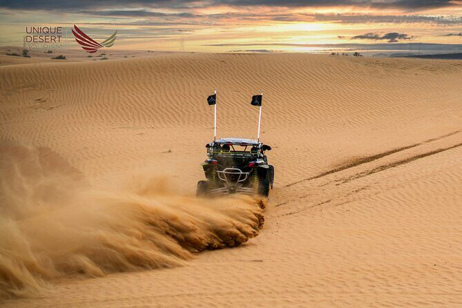 Dubai Desert Safari Standard Package - Who Should Consider This Tour?