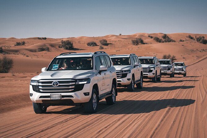 Dubai Desert Safari Thrill: Camel Ride, Live shows, BBQ & Spirits - The Dinner and Drinks