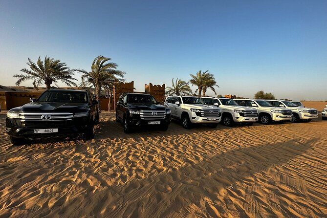Dubai Desert Safari VIP Package - Final Thoughts: Who Will Love This Tour?