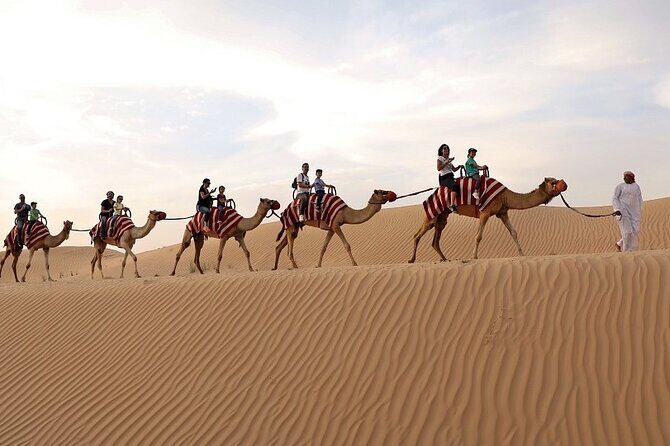 Dubai Desert Safari With BBQ dinner - Pricing and Value