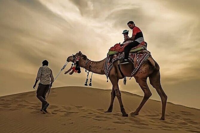 Dubai Desert Safari with BBQBuffet, Dune Bashing, Boarding, Camel - What Travelers Say: Insights from Reviews
