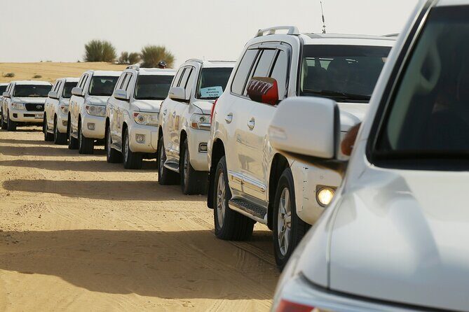 Dubai Desert Safari with Belly Dance, Fire Show and Tanura Show-The Full Package - Who Should Consider This Tour?