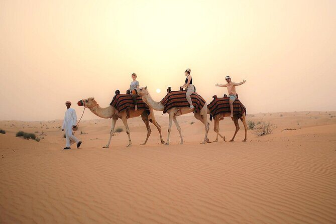 Dubai Desert Safari With Buffet Dinner Tour - What We Love About This Tour