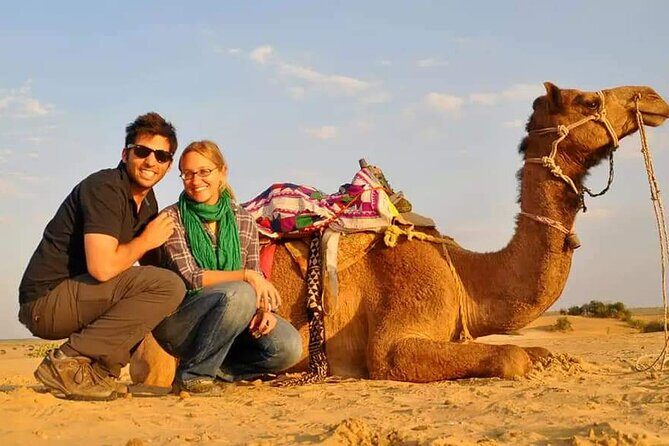 Dubai Desert Safari with Dance show, Sand Boarding, Camel & BBQ - The Sum Up: Who Will Love This Desert Safari?