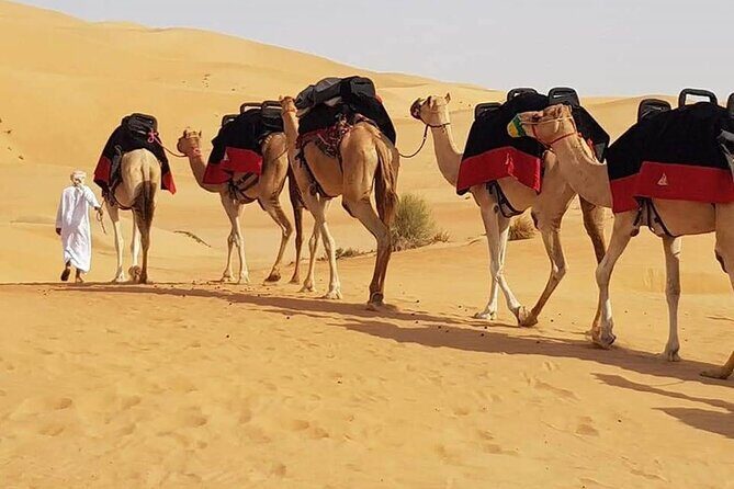 Dubai Desert Safari With Dune Bashing, Camel Ride & BBQ Dinner - What Makes This Tour Stand Out?