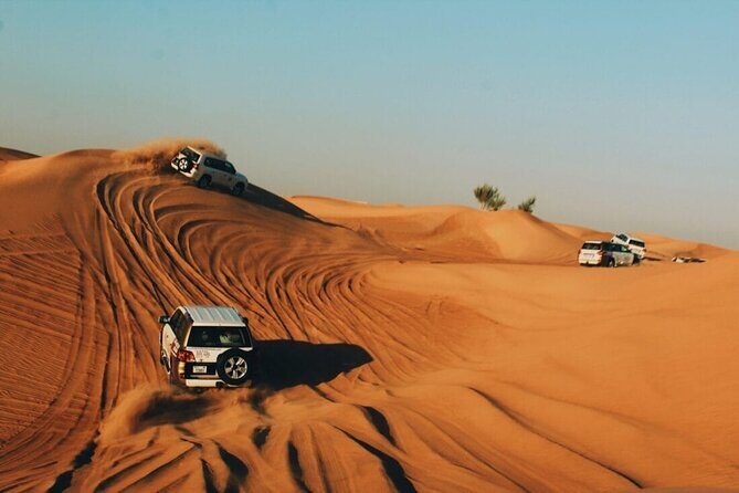 Dubai Desert Safari with Live Show, BBQ Dinner, Camel Ride & Sand Board Options - Authenticity and Value