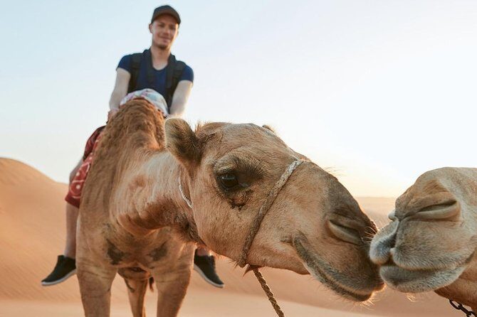 Dubai Desert Trail: Guided Quad/Polaris ATV & Red Dunes Safari - The Itinerary in Detail