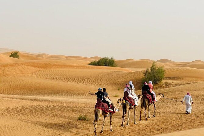 Dubai Elite Red Dunes Safari With Sunset & Bedouin Camp - Who Will Love This Tour?