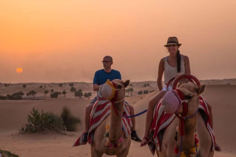 Dubai: Evening Camel Trekking & Dinner at Al Marmoom Oasis - What to Expect from the Tour