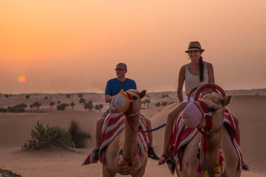 Dubai: Evening Camel Trekking & Dinner at Al Marmoom Oasis